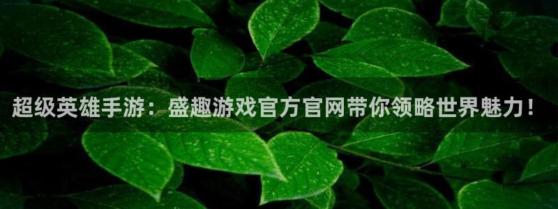 超级英雄手游：盛趣游戏官方官网带你领略世界魅力！