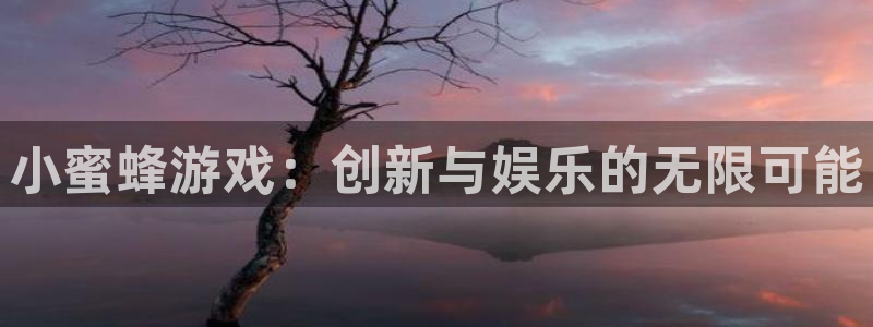 乐玩玩手游盒子苹果版：小蜜蜂游戏：创新与娱乐的无限可能