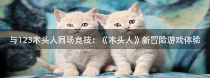 乐玩国际唯一登录网址：与123木头人同场竞技：《木头人》新冒