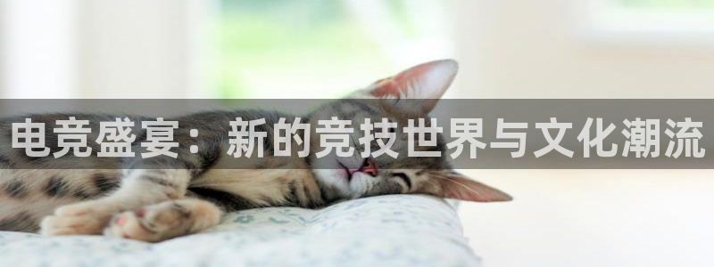 lewin乐玩国际：电竞盛宴：新的竞技世界与文化潮流