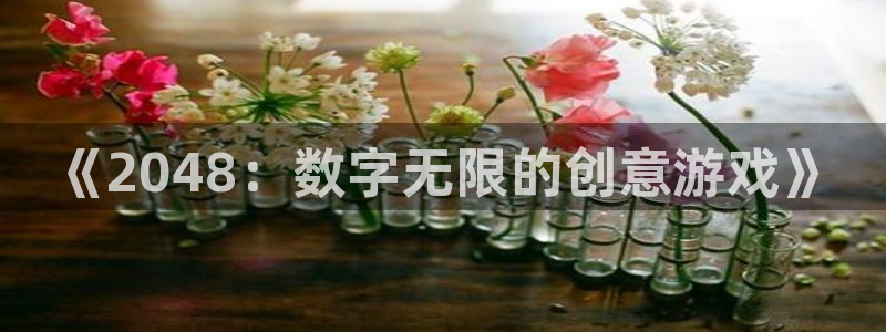 乐玩模块教程：《2048：数字无限的创意游戏》