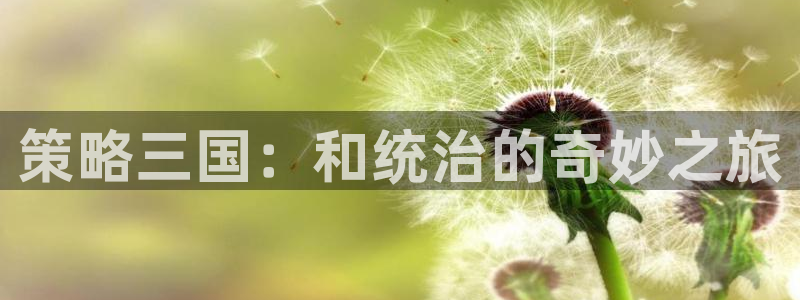 乐玩官网app下载苹果：策略三国：和统治的奇妙之旅